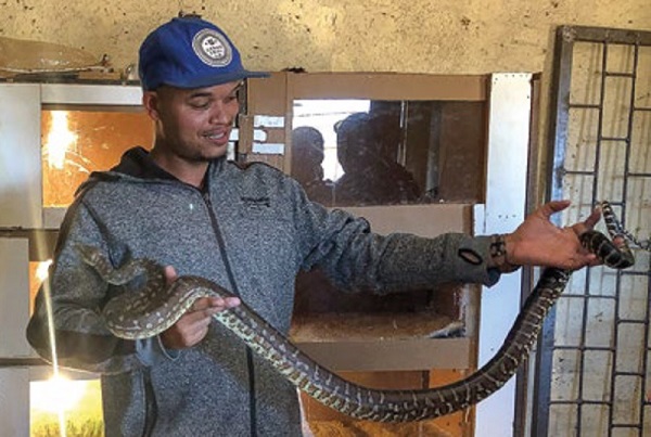 Feasibility Study for a Snake Park